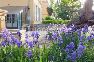 Location salle Lambesc (Bouches-du-Rhône) - Château D'ayguebelle #12