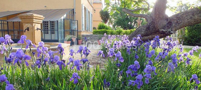 Location salle Lambesc (Bouches-du-Rhône) - Château D'ayguebelle #4