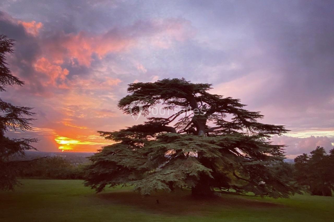 Location salle Latresne (Gironde) - Château Gassies #10
