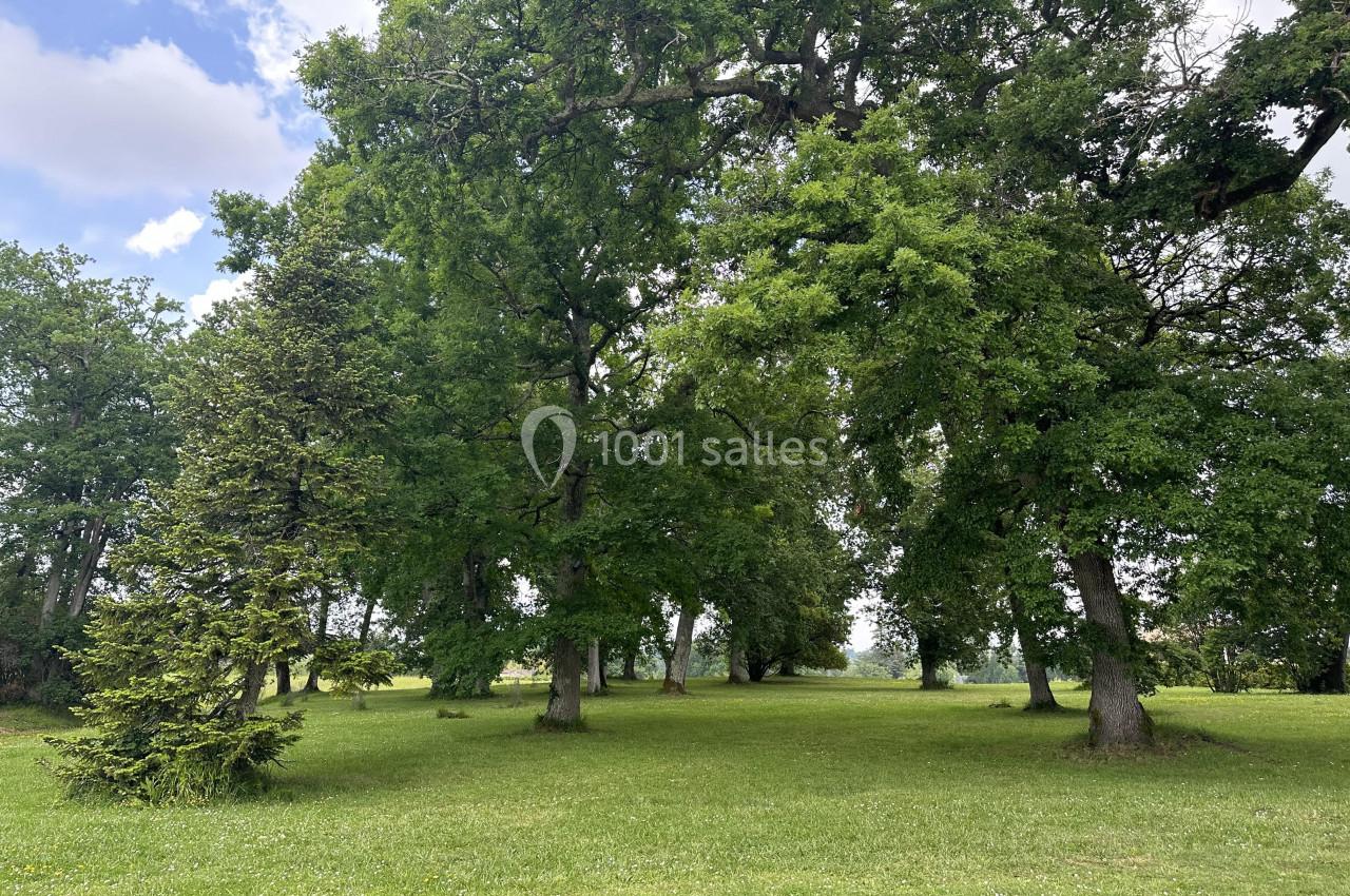 Pelouse verdoyante parsemée de grands arbres sous un ciel partiellement nuageux.