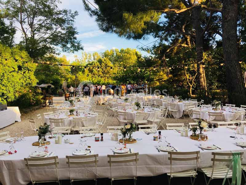 Tables dressées pour un événement en plein air, entourées de verdure et éclairées par des guirlandes lumineuses.