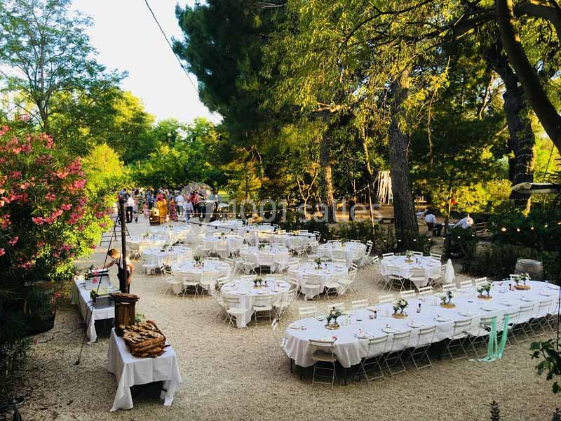 Tables dressées en extérieur pour un événement, entourées de végétation et éclairées par la lumière naturelle.
