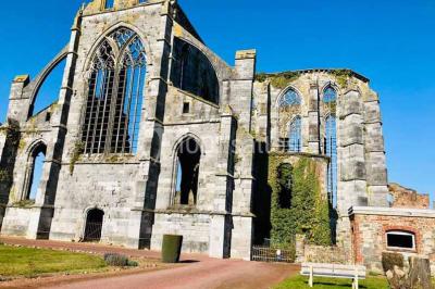 Ruines d'une abbaye gothique avec des arches et des fenêtres sans vitraux, entourées de végétation.