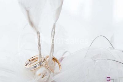 Miniature Location salle Rivière-Salée (Martinique) - Domaine De L'oasis #22 Location salle Rivière-Salée (Martinique) - Domaine De L'oasis #24