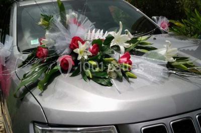 Miniature Location salle Rivière-Salée (Martinique) - Domaine De L'oasis #24 Location salle Rivière-Salée (Martinique) - Domaine De L'oasis #24