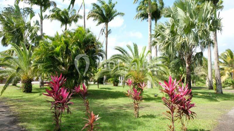Location salle Rivière-Salée (Martinique) - Domaine De L'oasis #18