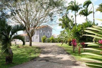 Miniature Location salle Rivière-Salée (Martinique) - Domaine De L'oasis #2 Location salle Rivière-Salée (Martinique) - Domaine De L'oasis #24