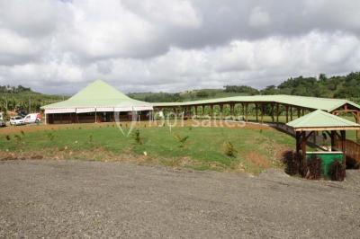 Miniature Location salle Le Lamentin (Martinique) - Les Jardins De Belfort #6 Location salle Le Lamentin (Martinique) - Les Jardins De Belfort #6