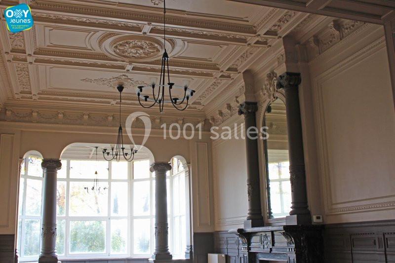 Location salle Farciennes (Hainaut) - Château Oxyjeunes #7 Plafond orné et mouluré d'une salle lumineuse avec grandes fenêtres, colonnes et cheminée en bois sculpté.