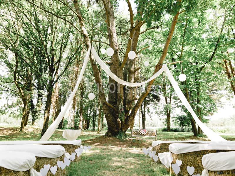 Décoration de mariage en plein air avec rubans blancs suspendus aux arbres et bancs recouverts de tissu blanc.