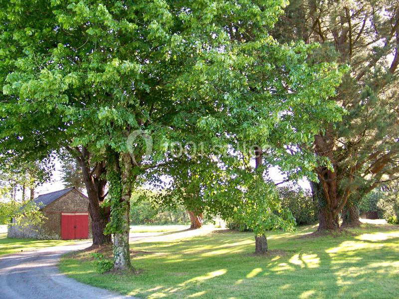Allée bordée d'arbres verdoyants menant à une petite grange en pierre avec des portes rouges, sous un ciel dégagé.