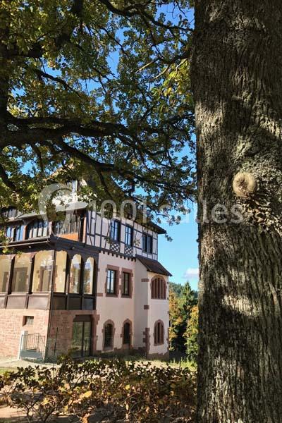 Location salle Orschwiller (Bas-Rhin) - Logis du Haut-Koenigsbourg #2