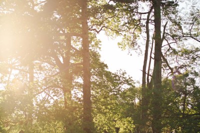 Un couple regarde un feu d'artifice illuminant le ciel nocturne avec des éclats de lumière colorés.