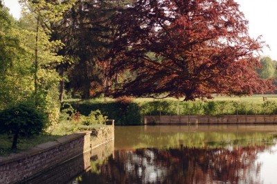 Salon lumineux avec parquet, mobilier classique, table ronde dressée au centre et lustre en cristal au plafond.