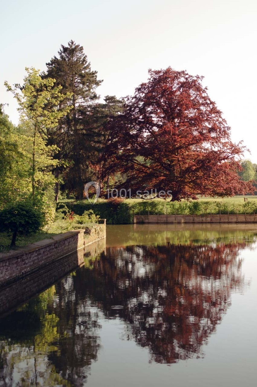 Arbre aux feuilles rouges et verdure se reflétant dans l'eau calme d'un canal bordé de pierres.
