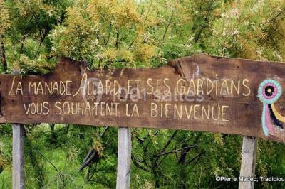 Miniature Location salle Arles (Bouches-du-Rhône) - Manade Allard #6 Chemin en gravier bordé de barrières en bois, entouré d'arbres et d'herbe sous un ciel dégagé.