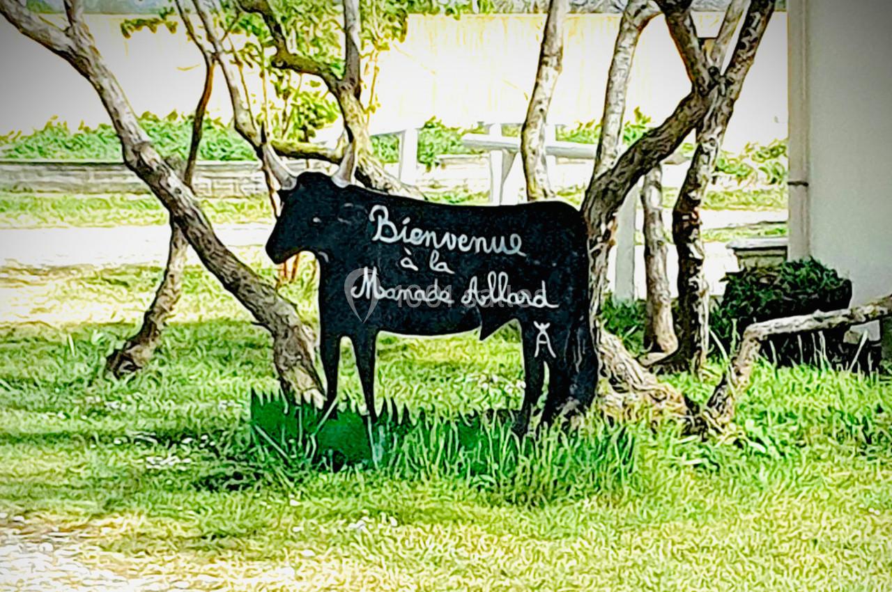 Location salle Arles (Bouches-du-Rhône) - Manade Allard #17 Panneau en forme de vache noire avec l'inscription ’Bienvenue à la Manade Allard’, placé sur une pelouse entre des arbres.