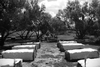 Miniature Location salle Arles (Bouches-du-Rhône) - Manade Allard #13 Chemin en gravier bordé de barrières en bois, entouré d'arbres et d'herbe sous un ciel dégagé.