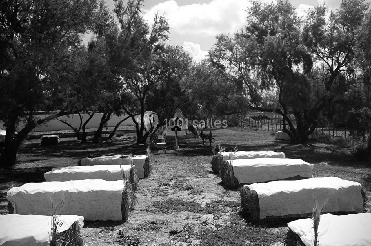 Location salle Arles (Bouches-du-Rhône) - Manade Allard #13 Des tables en pierre disposées en plein air sous des arbres, avec un abri en arrière-plan.