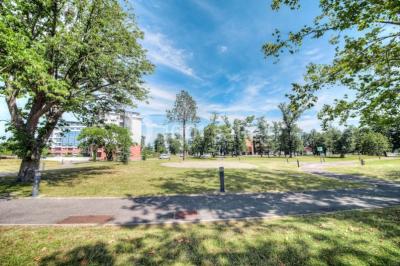 Clarion - Le Parc de L'Escale - photo 4