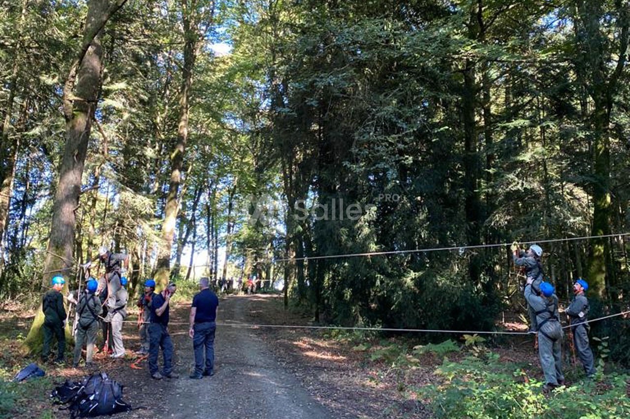 Des personnes équipées de casques participent à une activité en plein air avec des cordes dans une forêt.