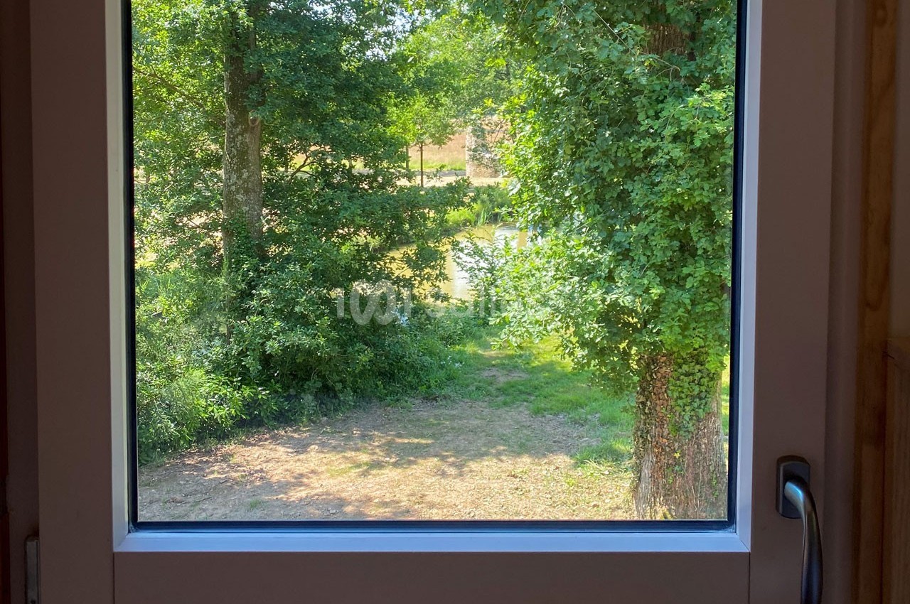 Vue depuis une fenêtre ouverte sur un jardin verdoyant avec des arbres et un chemin ensoleillé.