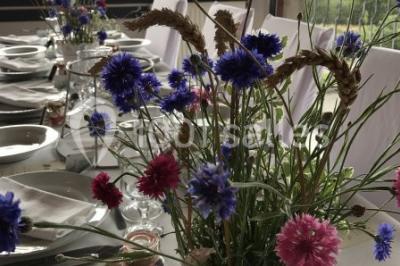 Location salle Brélès (Finistère) - Le Jardin De L'aber #29