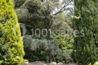 Parking extérieur de nuit, éclairé par des lumières jaunes et entouré d'arbres et de bâtiments.