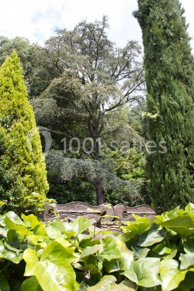 Vue d'un jardin avec des arbres variés, un banc en métal et des feuilles vertes au premier plan.