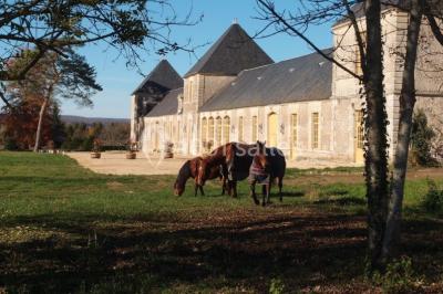 Miniature Location salle Urzy (Nièvre) - Château Des Bordes #10 Location salle Urzy (Nièvre) - Château Des Bordes #18