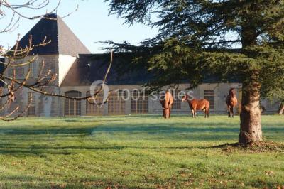 Miniature Location salle Urzy (Nièvre) - Château Des Bordes #7 Location salle Urzy (Nièvre) - Château Des Bordes #18