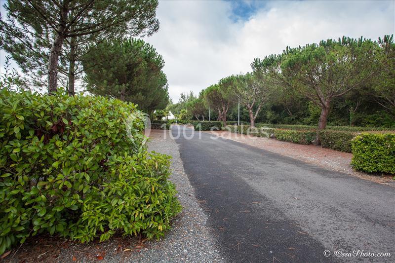 La Provençale - galerie - photo 6