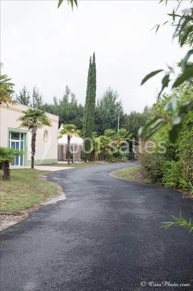 La Provençale - galerie - photo 7