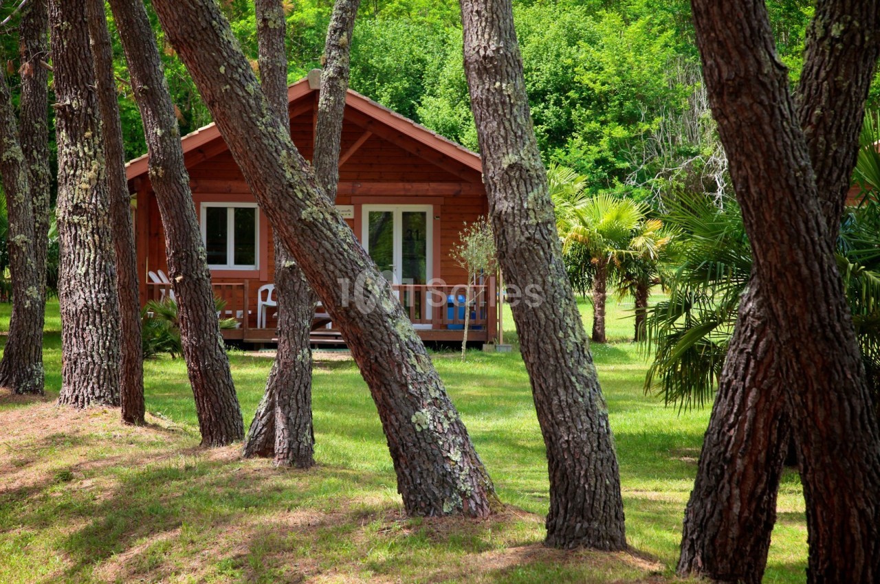 Chalet en bois entouré d'arbres dans un environnement verdoyant, avec pelouse et végétation dense en arrière-plan.