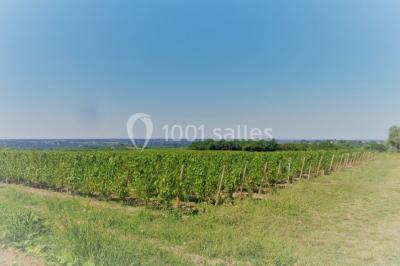 Miniature Location salle Rochefort-sur-Loire (Maine-et-Loire) - Salle Millésime #22 Location salle Rochefort-sur-Loire (Maine-et-Loire) - Salle Millésime #23