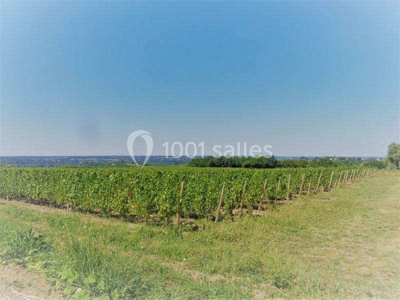 Location salle Rochefort-sur-Loire (Maine-et-Loire) - Salle Millésime #22