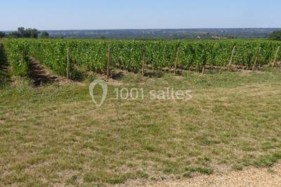 Miniature Location salle Rochefort-sur-Loire (Maine-et-Loire) - Salle Millésime #21 Location salle Rochefort-sur-Loire (Maine-et-Loire) - Salle Millésime #23