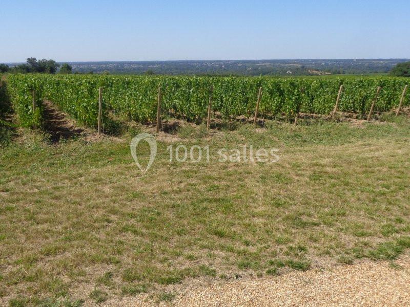 Location salle Rochefort-sur-Loire (Maine-et-Loire) - Salle Millésime #21