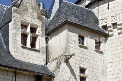 Location salle Seuilly (Indre-et-Loire) - Château Du Coudray Montpensier #33