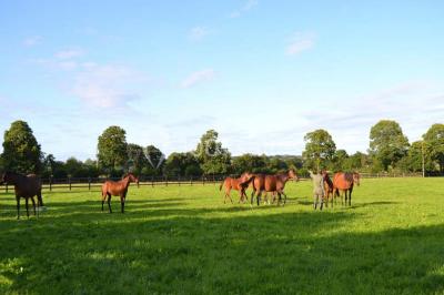 Miniature Location salle Saint-Pierre-des-Landes (Mayenne) - Manoir de Coventry #23 Location salle Saint-Pierre-des-Landes (Mayenne) - Manoir de Coventry #23
