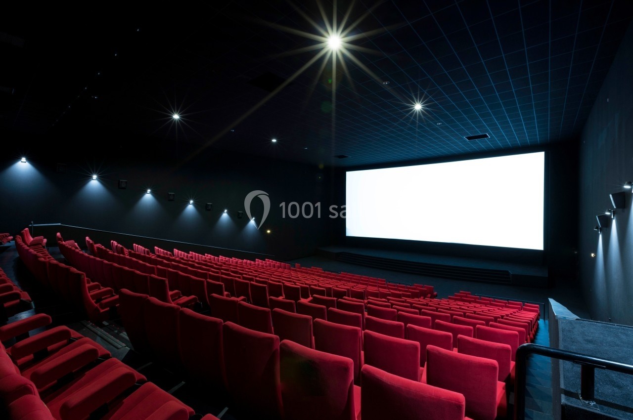 Location salle Dammarie-les-Lys (Seine-et-Marne) - Pathé Dammarie #12 Salle de cinéma vide avec des rangées de sièges rouges et un grand écran blanc allumé.