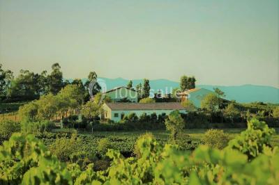 La Campagne de Jean Loup - photo 1
