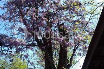 Miniature Location salle Saint-Genis-les-Ollières (Rhône) - La Cascade #18 Location salle Saint-Genis-les-Ollières (Rhône) - La Cascade #24