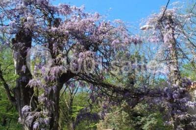 Miniature Location salle Saint-Genis-les-Ollières (Rhône) - La Cascade #17 Location salle Saint-Genis-les-Ollières (Rhône) - La Cascade #24