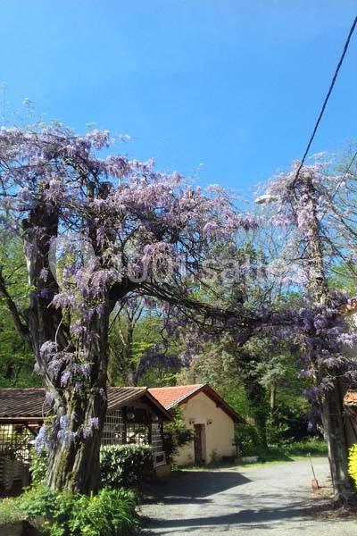 Location salle Saint-Genis-les-Ollières (Rhône) - La Cascade #17