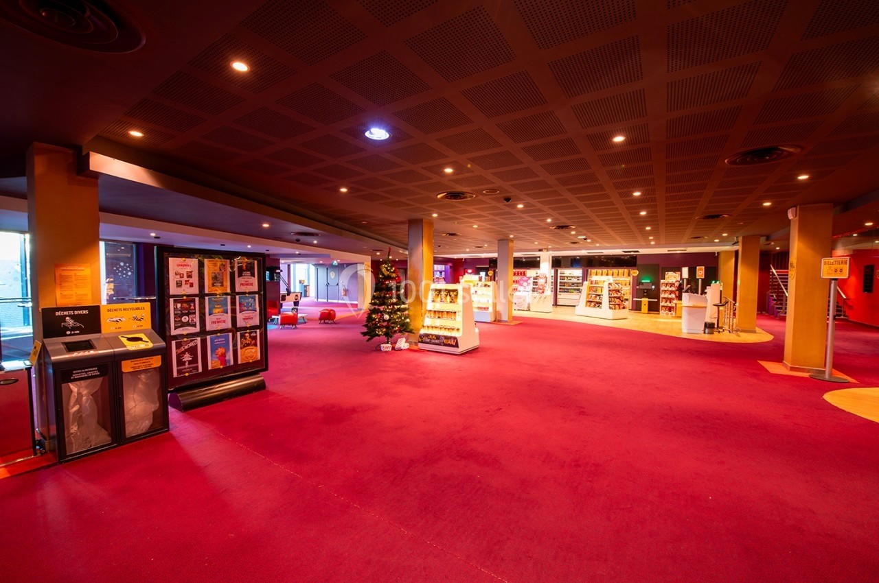 Espace intérieur lumineux avec moquette rouge, présentoirs de livres, affiches et un sapin de Noël décoré.