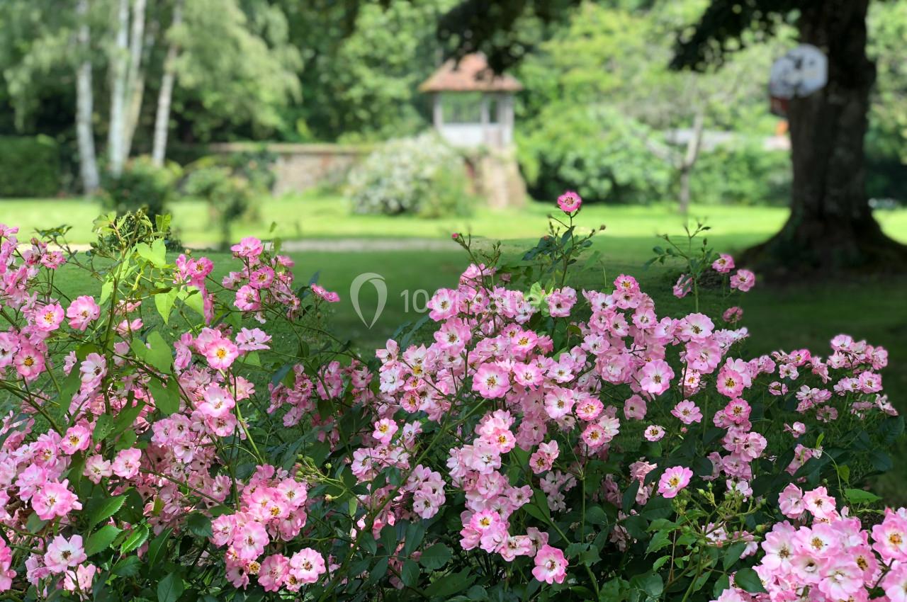 Massif de fleurs roses en premier plan avec un jardin verdoyant et une petite cabane en arrière-plan.