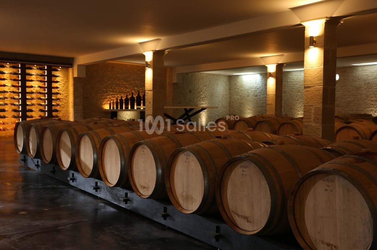Château la Tilleraie - galerie - photo 10