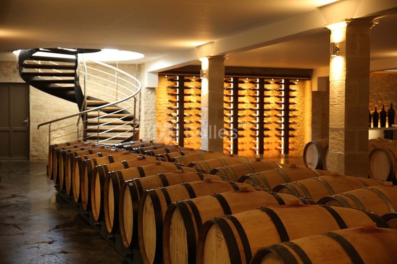 Château la Tilleraie - galerie - photo 11