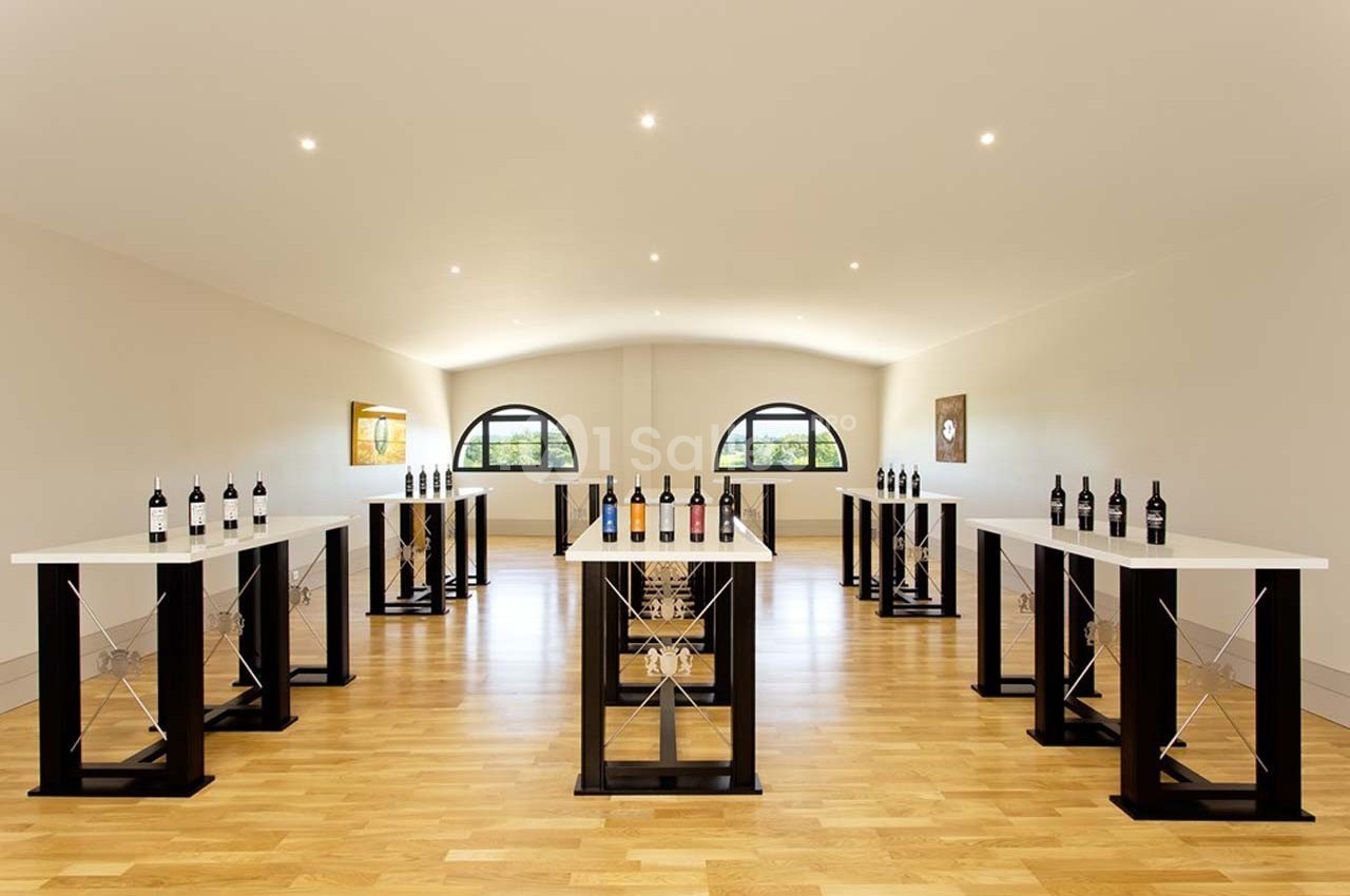 Château la Tilleraie - galerie - photo 38